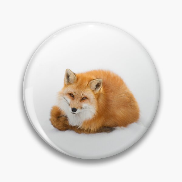 Item preview, Red fox, Algonquin Park Canada designed and sold by James Cumming.