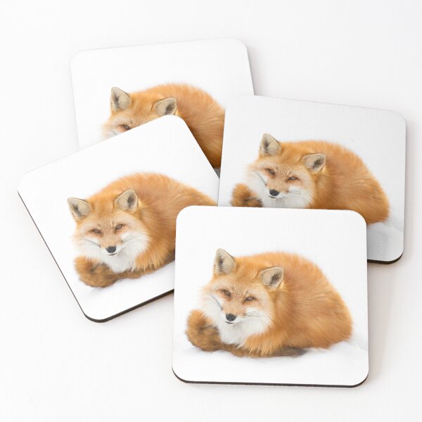 Item preview, Red fox, Algonquin Park Canada designed and sold by James Cumming.