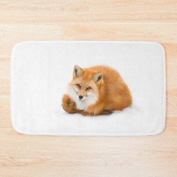 Item preview, Red fox, Algonquin Park Canada designed and sold by James Cumming.