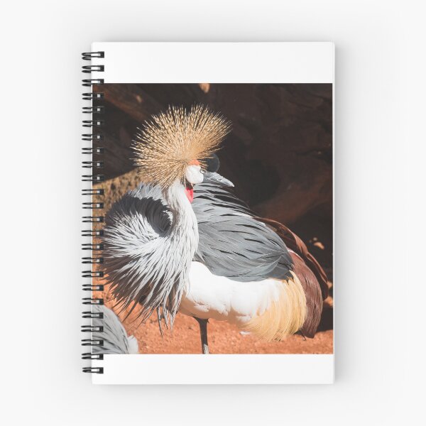 Item preview, Bird with crest designed and sold by XaviFotografia.