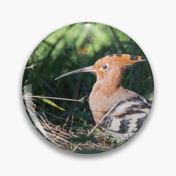 Item preview, Hoopoe III designed and sold by XaviFotografia.