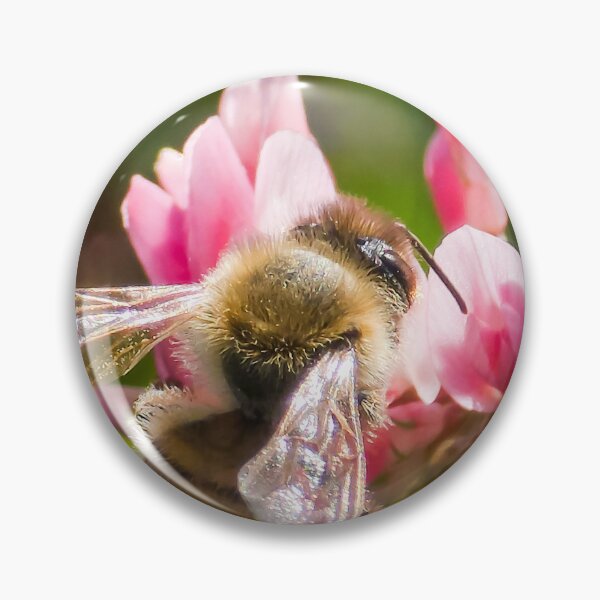 Item preview, Among the Clover — Silver Wing designed and sold by Feral Vibes.