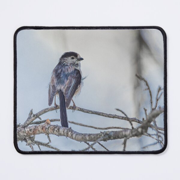 Item preview, Bird (myth) designed and sold by XaviFotografia.