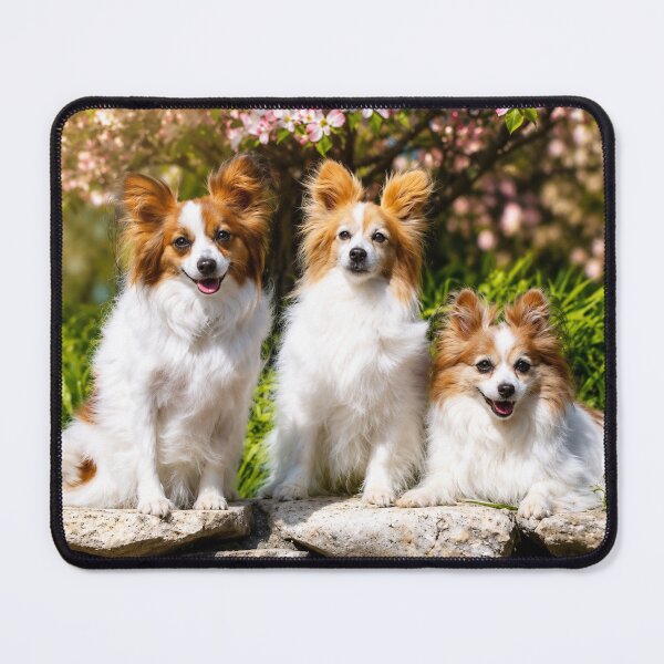 Item preview, Trio of Papillon designed and sold by Kimberly Palmer.