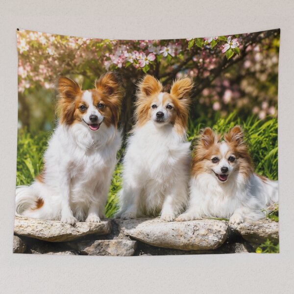 Item preview, Trio of Papillon designed and sold by Kimberly Palmer.