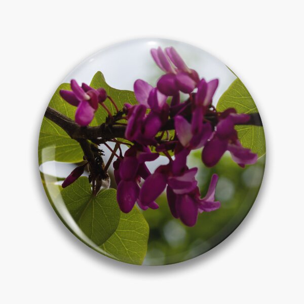 Item preview, Purple Redbud Flowers and Heart-Shaped Green Leaves on Branch in Soft Spring Light designed and sold by Nmallia.
