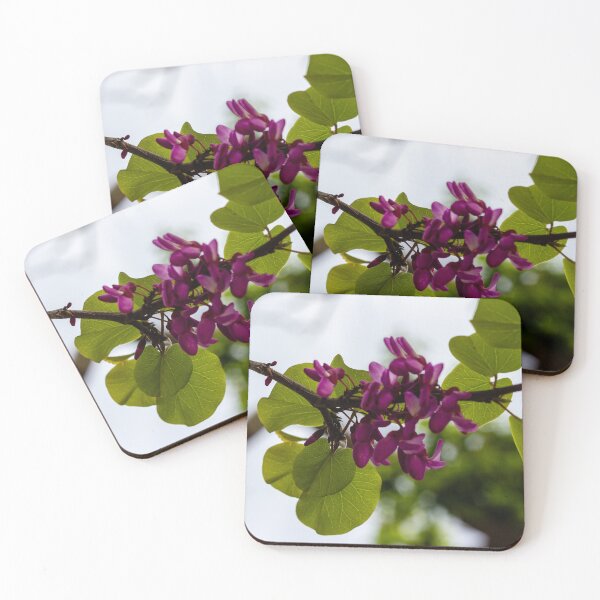 Item preview, Purple Redbud Flowers and Heart-Shaped Green Leaves on Branch in Soft Spring Light designed and sold by Nmallia.