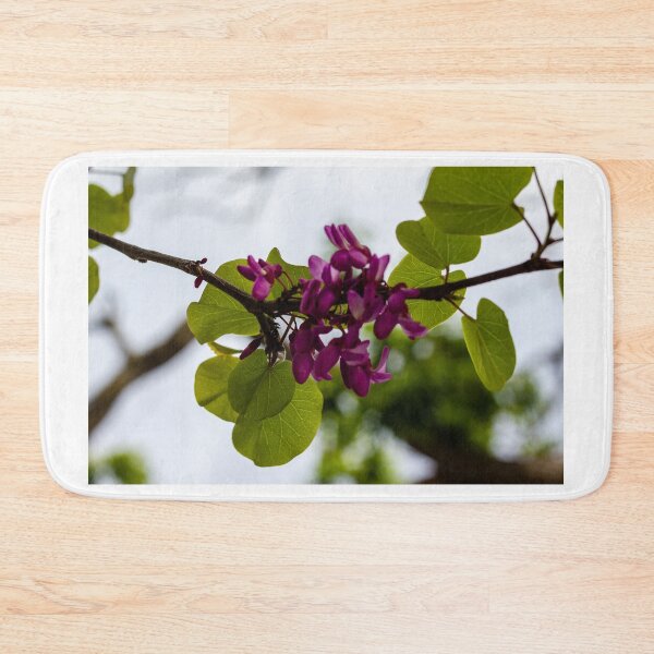 Item preview, Purple Redbud Flowers and Heart-Shaped Green Leaves on Branch in Soft Spring Light designed and sold by Nmallia.