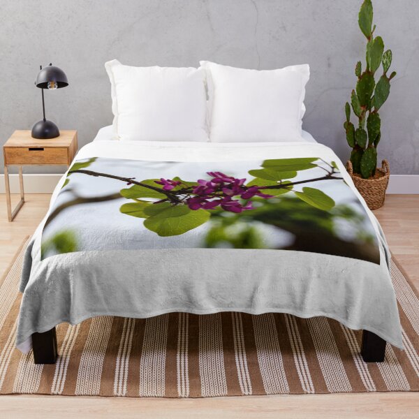 Item preview, Purple Redbud Flowers and Heart-Shaped Green Leaves on Branch in Soft Spring Light designed and sold by Nmallia.