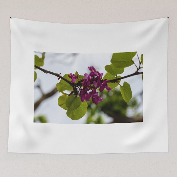 Item preview, Purple Redbud Flowers and Heart-Shaped Green Leaves on Branch in Soft Spring Light designed and sold by Nmallia.