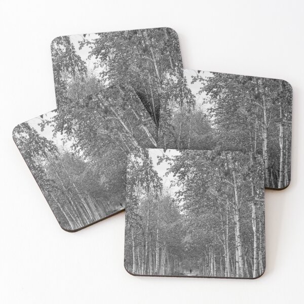 Item preview, Silent Walk Beneath Birch Trees | 자작나무 designed and sold by HyunDam.