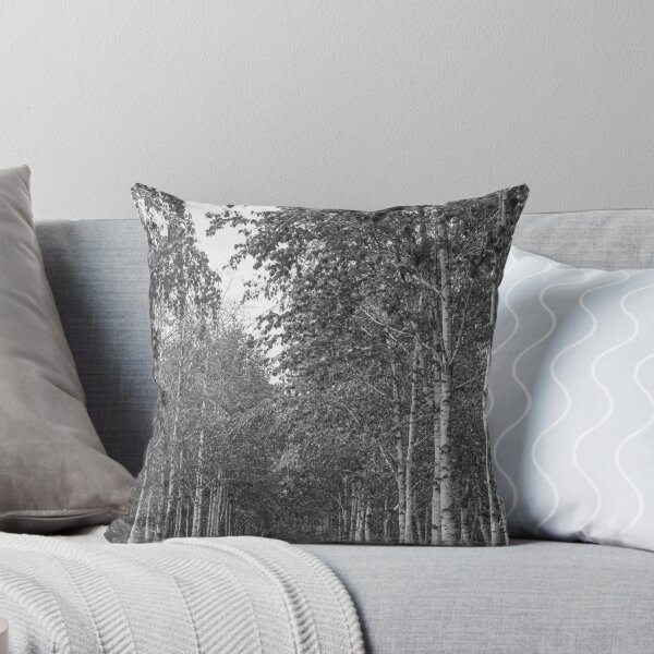 Item preview, Silent Walk Beneath Birch Trees | 자작나무 designed and sold by HyunDam.