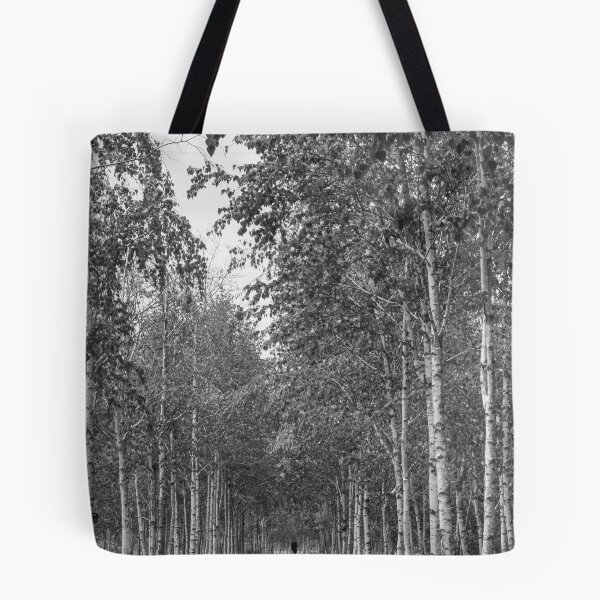 Item preview, Silent Walk Beneath Birch Trees | 자작나무 designed and sold by HyunDam.