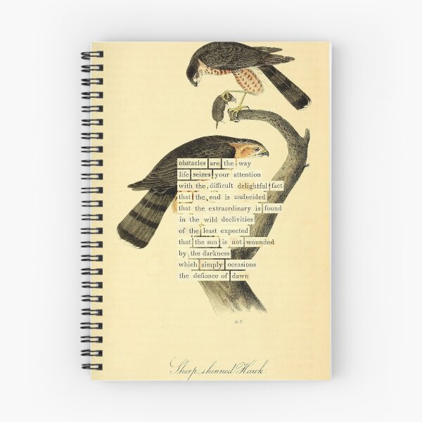 Item preview, Adivinación con aves: Gavilán americano (almanacofbirds.org) designed and sold by mariapopova.