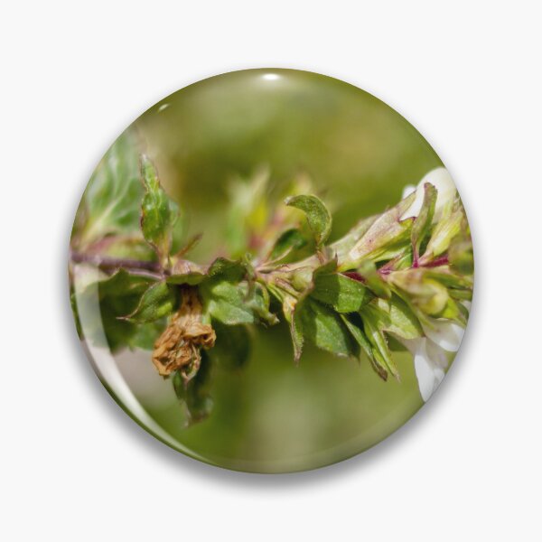 Item preview, Macro Close-Up Of Wildflower And Green Plant Stem With Small White Blossom In Nature designed and sold by Nmallia.
