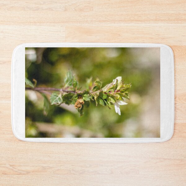 Item preview, Macro Close-Up Of Wildflower And Green Plant Stem With Small White Blossom In Nature designed and sold by Nmallia.