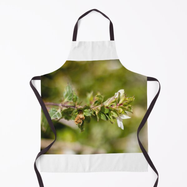 Item preview, Macro Close-Up Of Wildflower And Green Plant Stem With Small White Blossom In Nature designed and sold by Nmallia.
