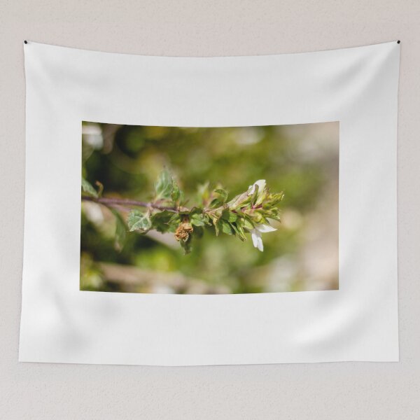 Item preview, Macro Close-Up Of Wildflower And Green Plant Stem With Small White Blossom In Nature designed and sold by Nmallia.