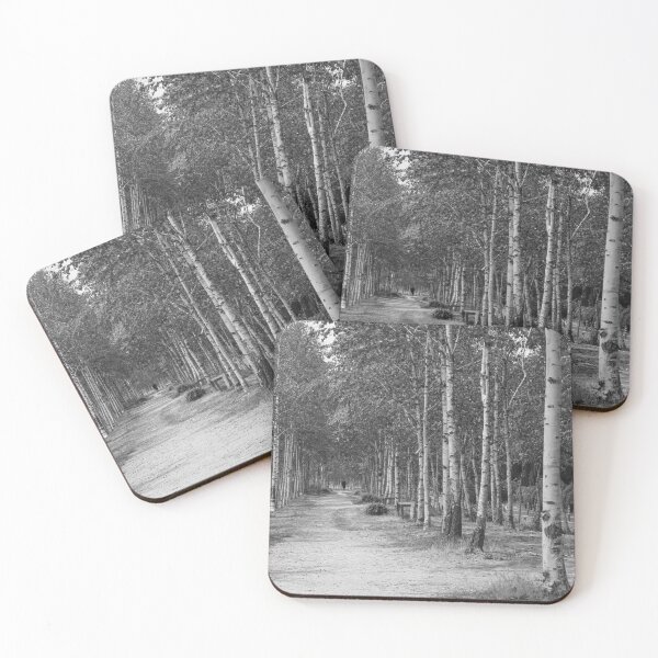 Item preview, Journey Along a Birch Woodland Path | 자작나무 designed and sold by HyunDam.