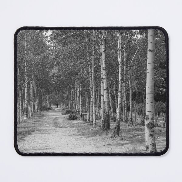 Item preview, Journey Along a Birch Woodland Path | 자작나무 designed and sold by HyunDam.