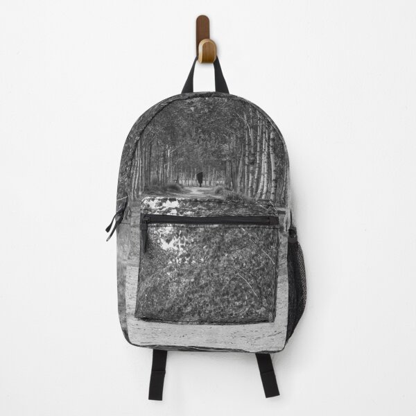 Item preview, Journey Along a Birch Woodland Path | 자작나무 designed and sold by HyunDam.