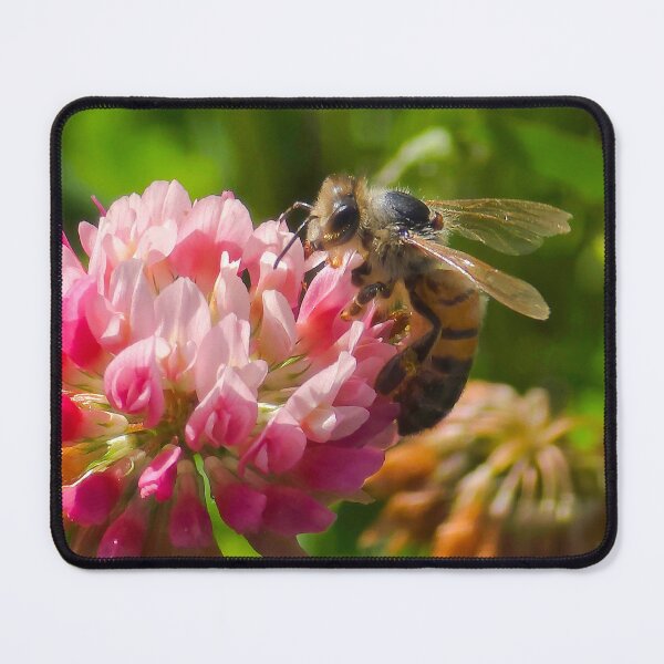 Item preview, Among the Clover — Next Bloom designed and sold by Feral Vibes.