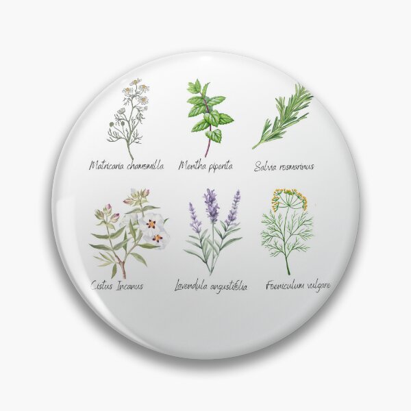 Item preview, Medicinal Herbs Botanical Collection designed and sold by gomood.