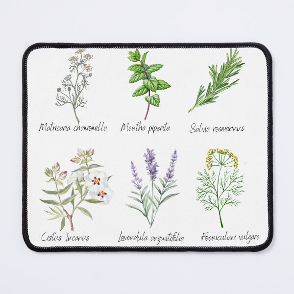 Item preview, Medicinal Herbs Botanical Collection designed and sold by gomood.