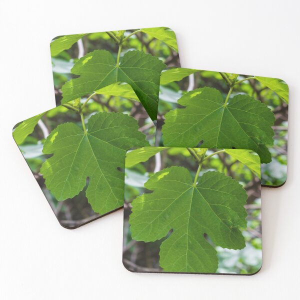 Item preview, Large Green Fig Leaf Close-Up Showing Texture, Veins and Fresh Foliage in Natural Light designed and sold by Nmallia.