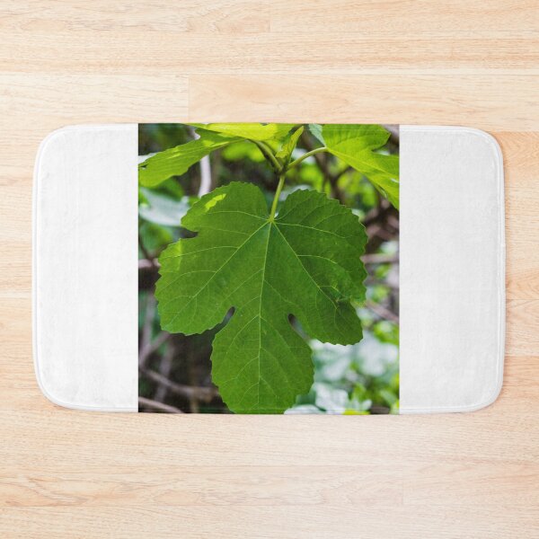 Item preview, Large Green Fig Leaf Close-Up Showing Texture, Veins and Fresh Foliage in Natural Light designed and sold by Nmallia.