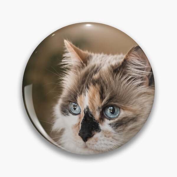 Item preview, Blue-Eyed Longhair Cat Portrait designed and sold by Kimberly Palmer.