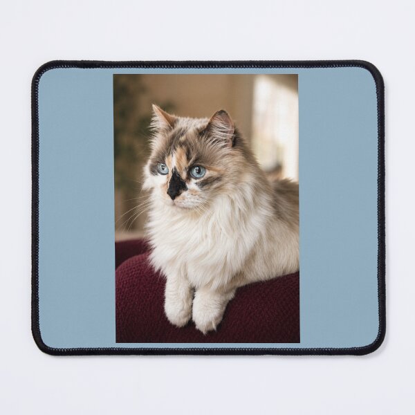 Item preview, Blue-Eyed Longhair Cat Portrait designed and sold by Kimberly Palmer.