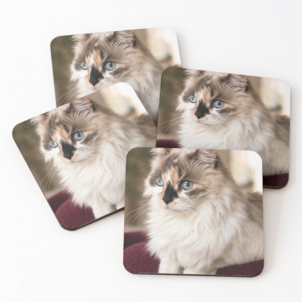 Item preview, Blue-Eyed Longhair Cat Portrait designed and sold by Kimberly Palmer.