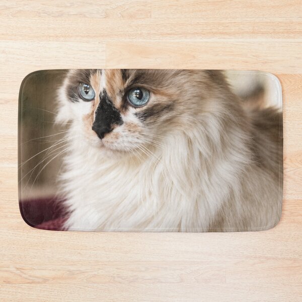 Item preview, Blue-Eyed Longhair Cat Portrait designed and sold by Kimberly Palmer.