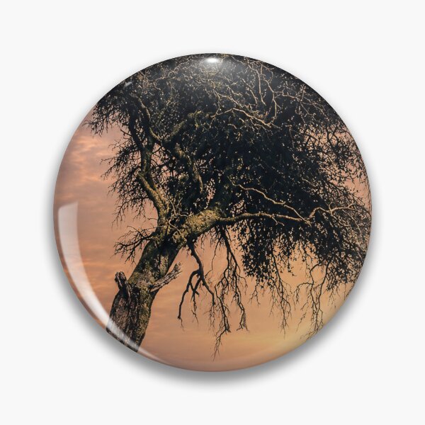 Item preview, When Darkness Falls Across the Sky designed and sold by Kimberly Palmer.