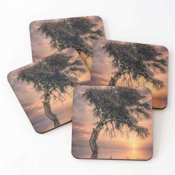 Item preview, When Darkness Falls Across the Sky designed and sold by Kimberly Palmer.