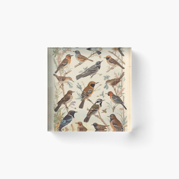 Item preview, Woodland Songbirds Vintage Natural History Illustration Art designed and sold by Evergreen Horizon Works.
