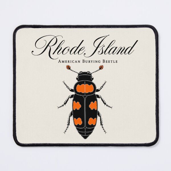 Item preview, Rhode Island American Burying Beetle Poster designed and sold by The-Drip-Studio.