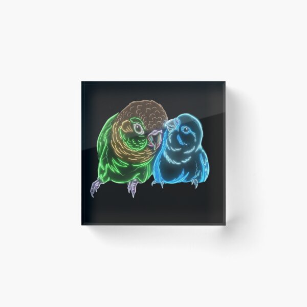 Item preview, " Lord and Kiwi: A Special Parrot Friendship" designed and sold by Danmaha.