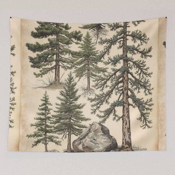 Item preview, Vintage Evergreen Trees Botanical Forest Illustration Art designed and sold by Evergreen Horizon Works.