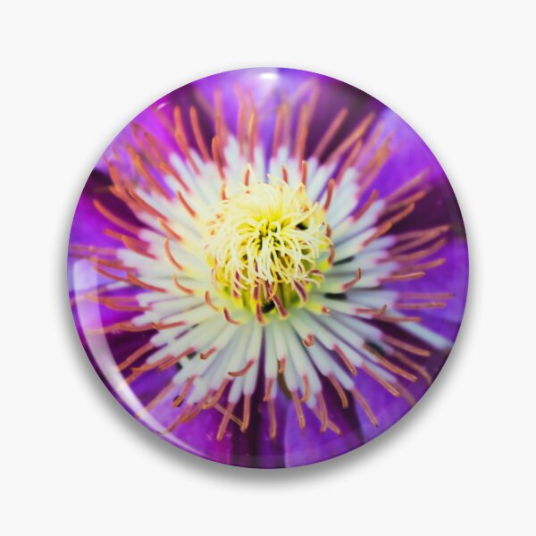 Item preview, Purple Clematis designed and sold by JEZ22.