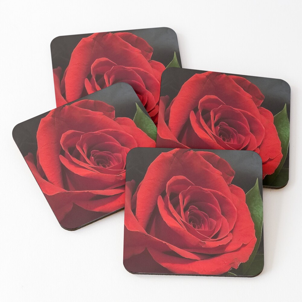 Item preview, Coasters (Set of 4) designed and sold by RocDrAdventures.
