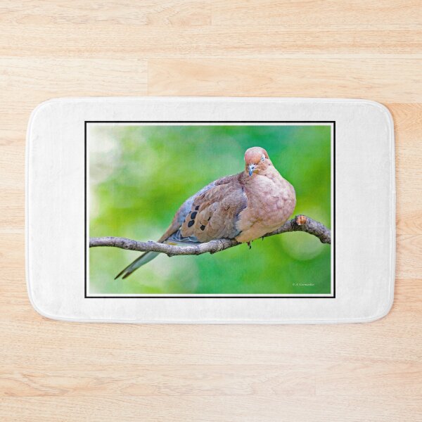 Item preview, Mourning Dove in a Quiet Repose designed and sold by AMacGPhilly.
