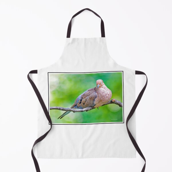 Item preview, Mourning Dove in a Quiet Repose designed and sold by AMacGPhilly.