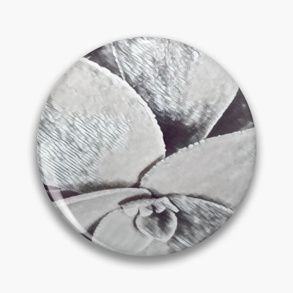 Item preview, Minimalist Black and White Succulent Sketch Nature Graphic designed and sold by BalkanBloom.