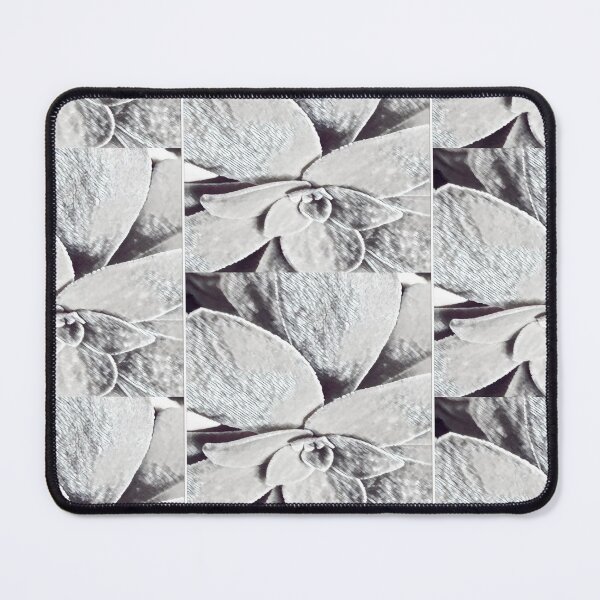 Item preview, Minimalist Black and White Succulent Sketch Nature Graphic designed and sold by BalkanBloom.