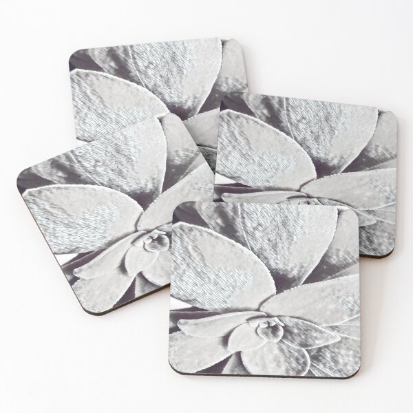 Item preview, Minimalist Black and White Succulent Sketch Nature Graphic designed and sold by BalkanBloom.