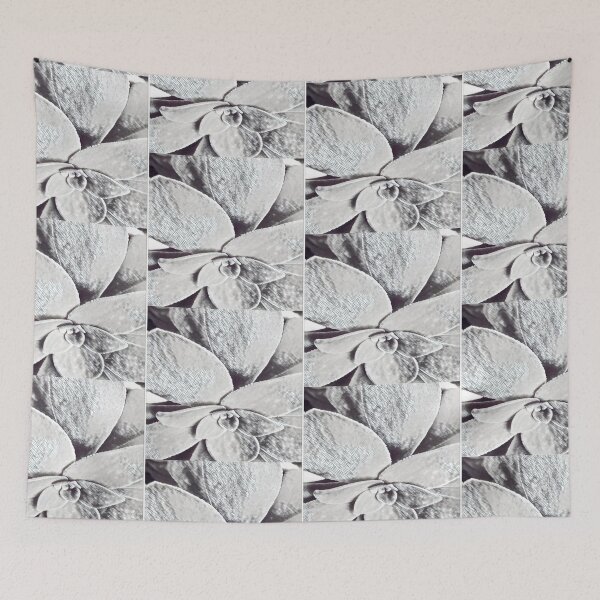 Item preview, Minimalist Black and White Succulent Sketch Nature Graphic designed and sold by BalkanBloom.