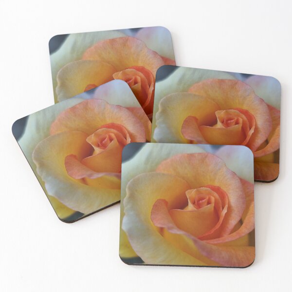 Item preview, Precious Cream Yellow Pink Rose Rosa Bloom Showing Off Outside designed and sold by vtspatial.