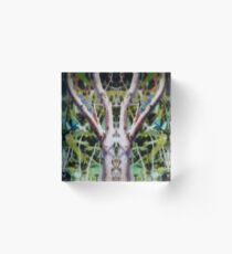 Morphic Resonance One Acrylic Block